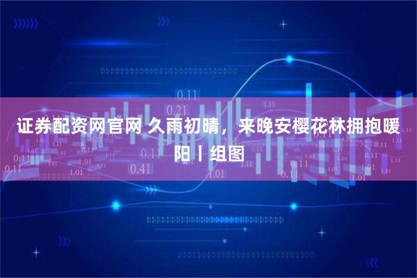 证券配资网官网 久雨初晴，来晚安樱花林拥抱暖阳丨组图