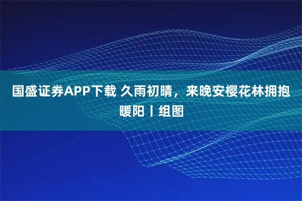 国盛证券APP下载 久雨初晴，来晚安樱花林拥抱暖阳丨组图