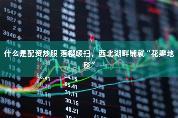 什么是配资炒股 落樱缓扫，西北湖畔铺就“花瓣地毯”