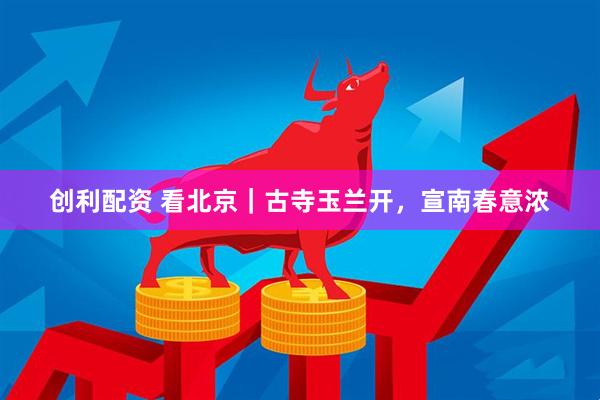 创利配资 看北京｜古寺玉兰开，宣南春意浓