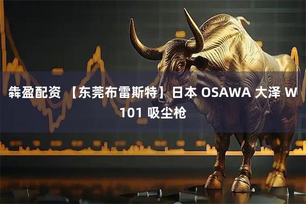 犇盈配资 【东莞布雷斯特】日本 OSAWA 大泽 W101 吸尘枪